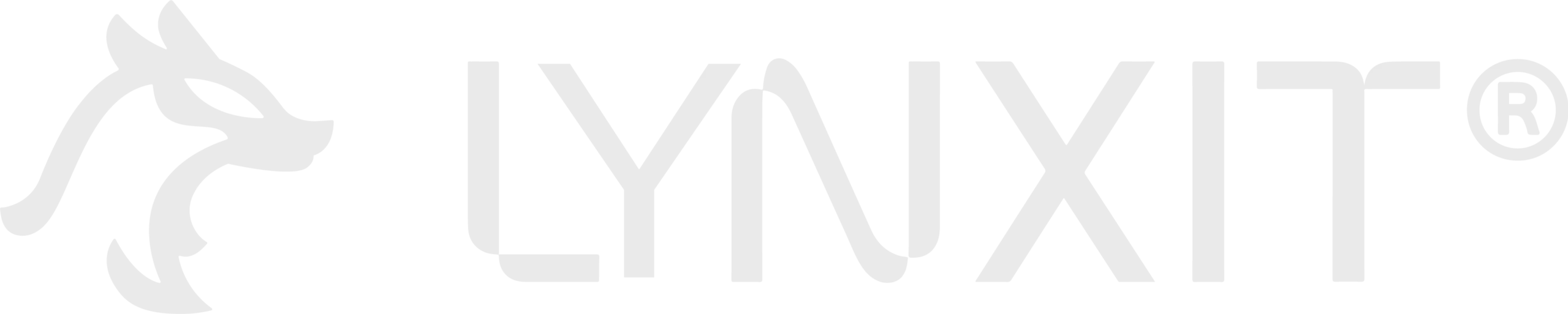 Logo LYNXIT - Soluciones informáticas & digitales